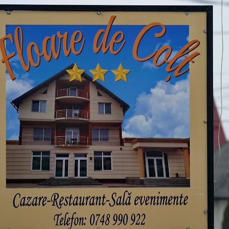 Floare De Colt Hotel Berbesti Exterior photo
